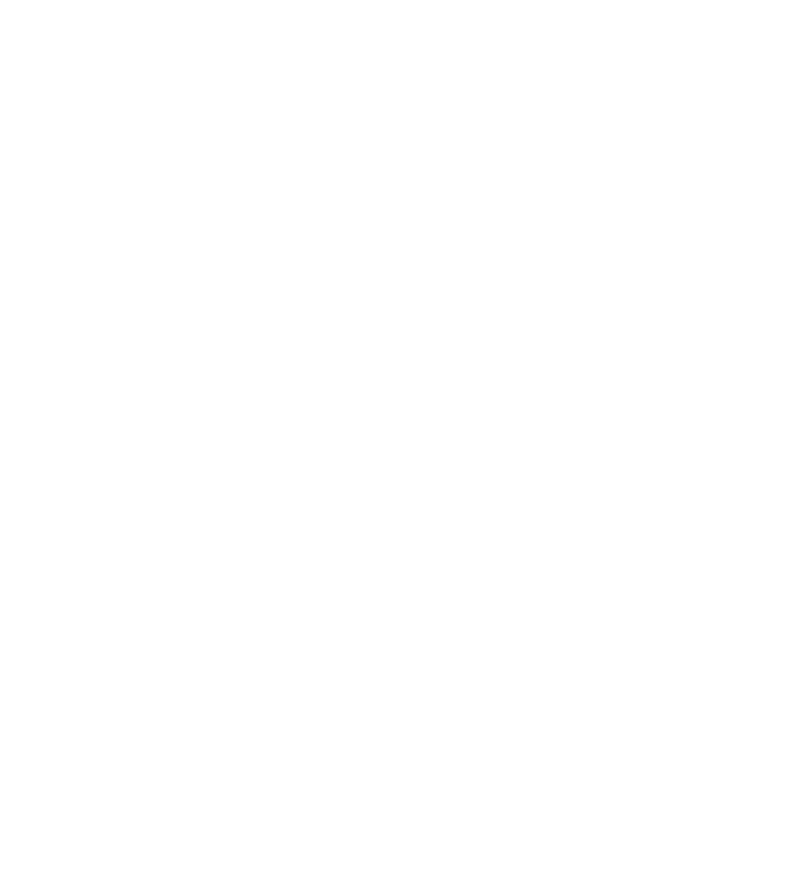 NSW Government Logo